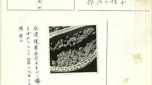 干果篮与木棍特写.jpg