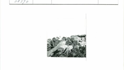 干草堆与建筑风景.jpg