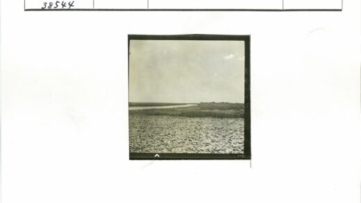 干裂大地与蜿蜒河流.jpg