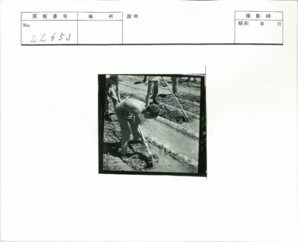 年轻人田间劳作锄地.jpg