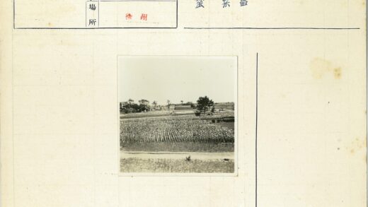广阔农田与天空风光.jpg