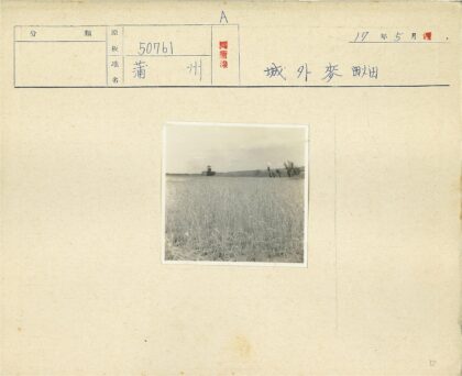 广阔田野与高大建筑.jpg