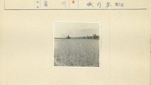 广阔田野与高大建筑.jpg