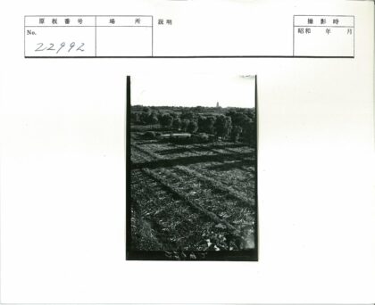 广阔耕地与远山建筑鸟瞰.jpg