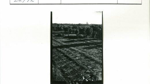 广阔耕地与远山建筑鸟瞰.jpg