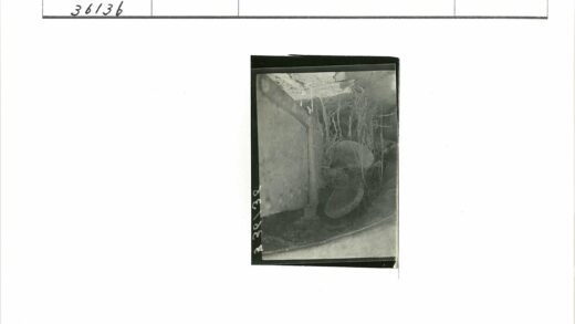 废弃金属与螺旋桨的植被缠绕.jpg