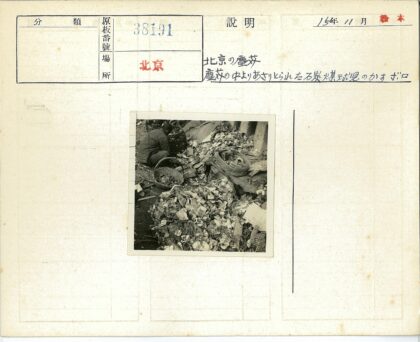 废纸杂物筛选工作场景.jpg
