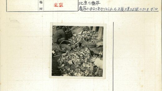 废纸杂物筛选工作场景.jpg