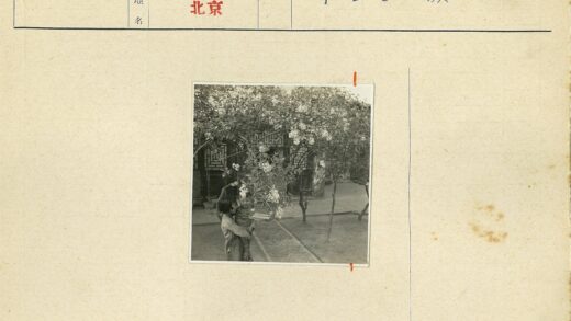 庭院亲子赏花鸟笼景.jpg