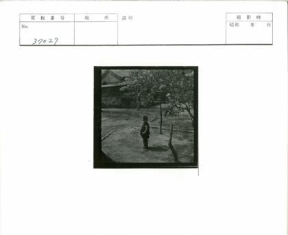 庭院小路树荫鸟笼童趣.jpg