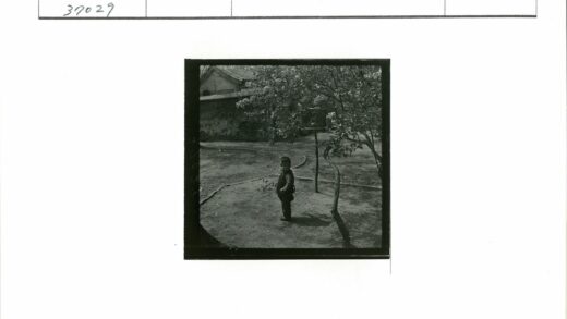 庭院小路树荫鸟笼童趣.jpg