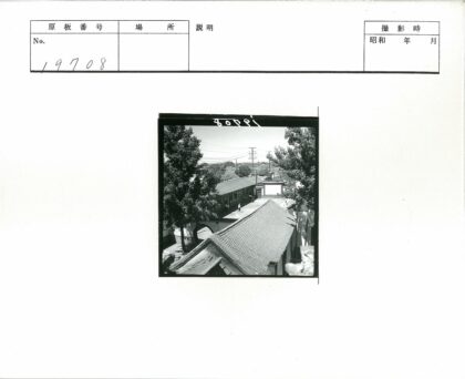 庭院散步与瓦顶树影.jpg
