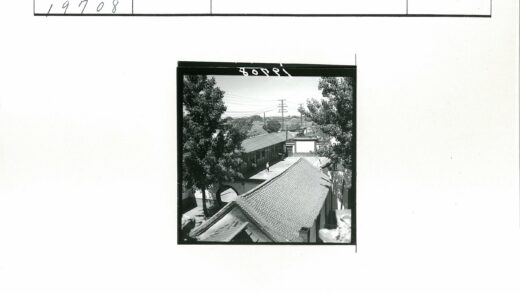 庭院散步与瓦顶树影.jpg