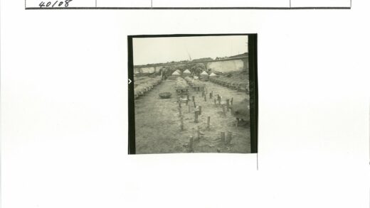 庭院木架遮盖物堆放场景.jpg