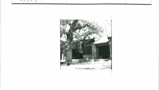 庭院树下孩童与古建筑.jpg