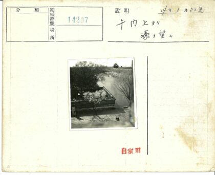 庭院漫步与宝塔远景.jpg