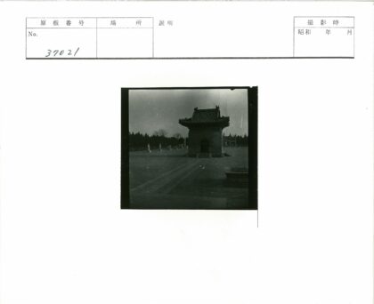 庭院瓷砖屋顶石雕晴空树影.jpg