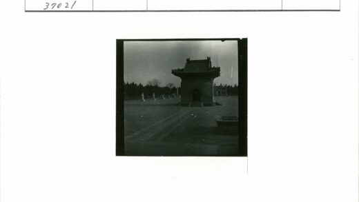 庭院瓷砖屋顶石雕晴空树影.jpg
