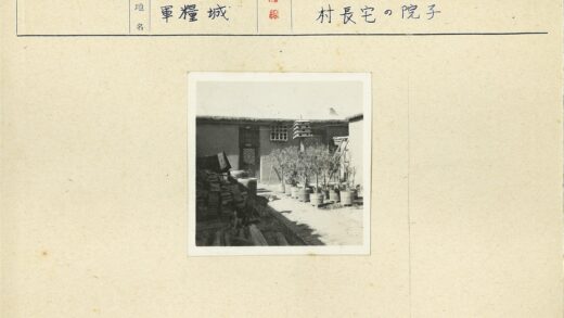 庭院砖桶盆栽与鸟舍.jpg