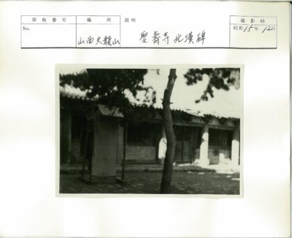 庭院绿树与传统建筑景观.jpg