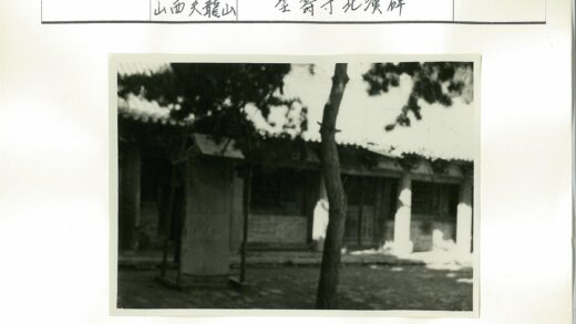 庭院绿树与传统建筑景观.jpg
