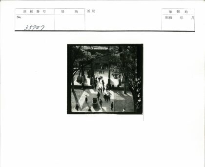 庭院绿荫与传统建筑.jpg