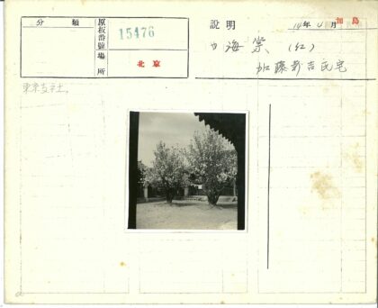 庭院花开建筑洗衣房晴空.jpg