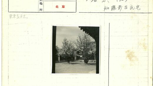 庭院花开建筑洗衣房晴空.jpg