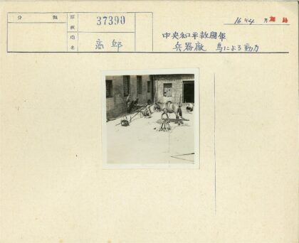 庭院马匹与机械装置.jpg
