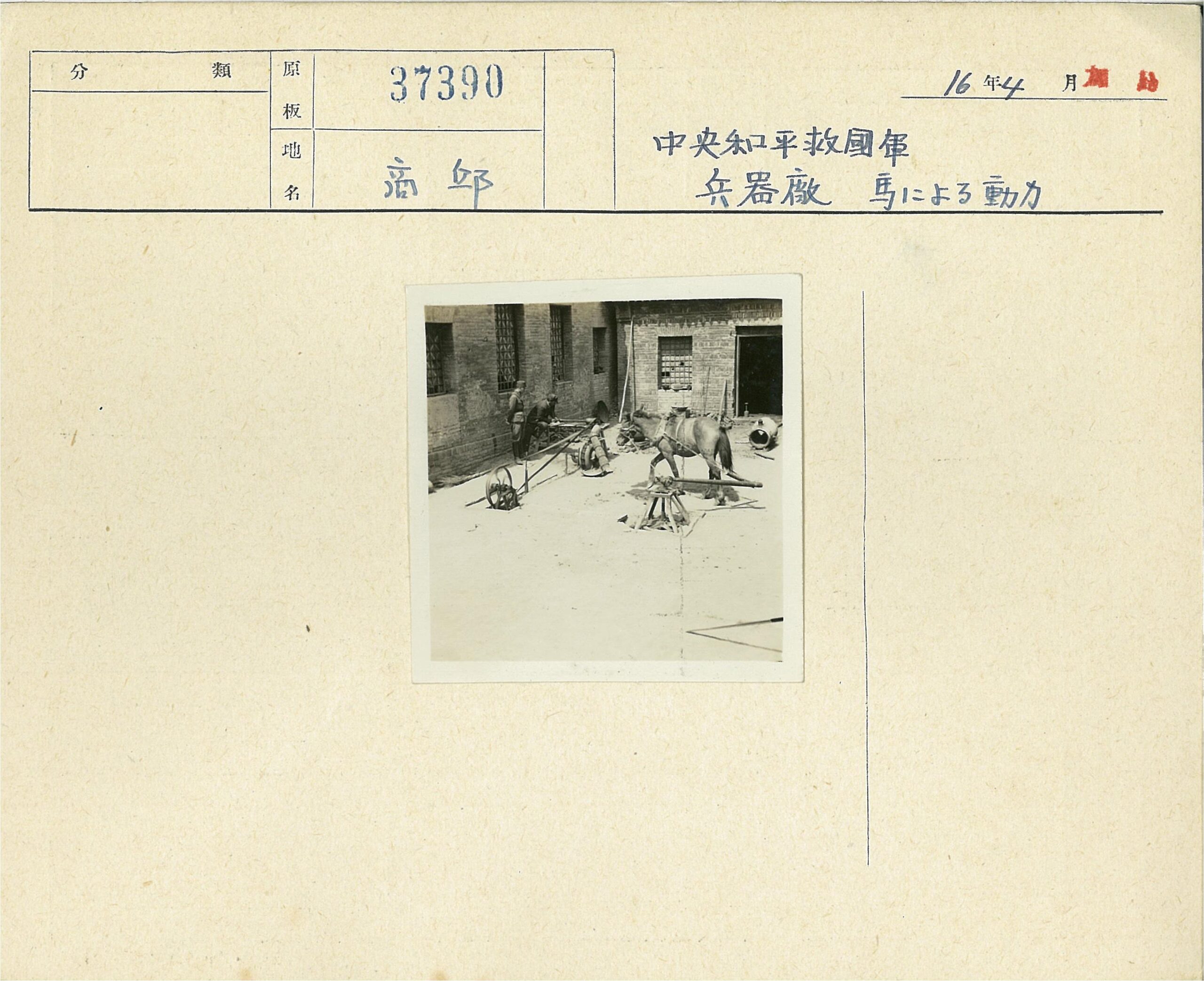庭院马匹与机械装置.jpg