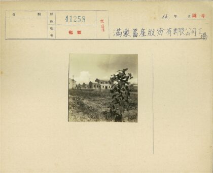 建筑与绿植晴空景色.jpg