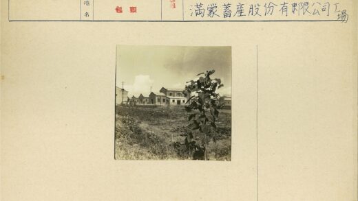 建筑与绿植晴空景色.jpg