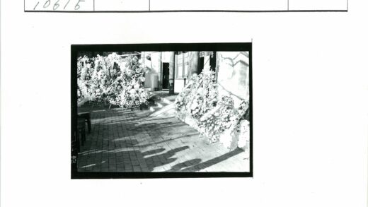 建筑台阶鲜花光影小路.jpg