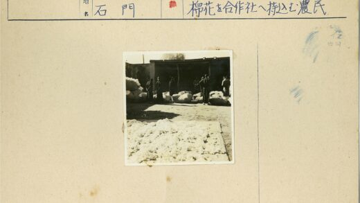 建筑工地旁的棉花工人.jpg