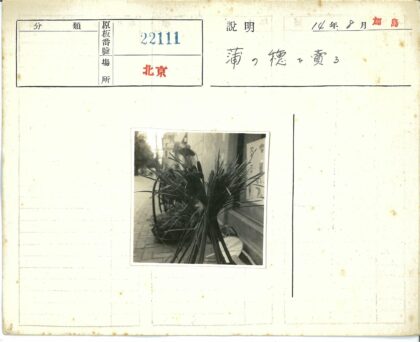 建筑旁绑束长茎植物黑白照.jpg