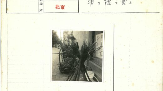 建筑旁绑束长茎植物黑白照.jpg