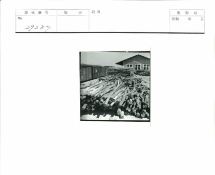 建筑物旁堆放的原木与火车车厢.jpg