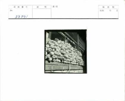 建筑窗台上的玉米棒堆.jpg