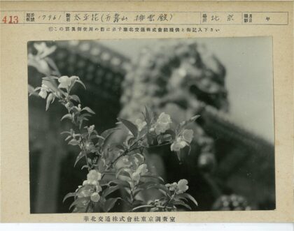 建筑雕像与盛开花朵特写.jpg