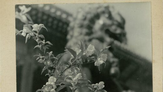 建筑雕像与盛开花朵特写.jpg