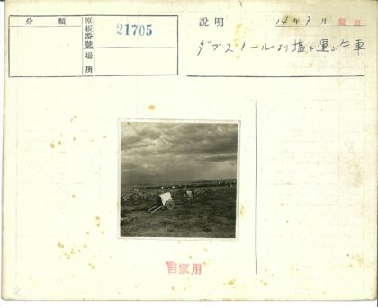 开阔平原上的篷车车队.jpg