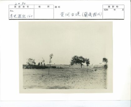 开阔田野稀疏树木植被.jpg