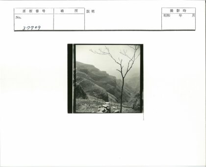悬崖孤树岩石景观.jpg