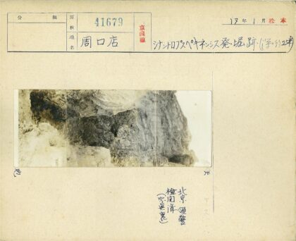 悬崖岩石纹理与光影户外景观.jpg