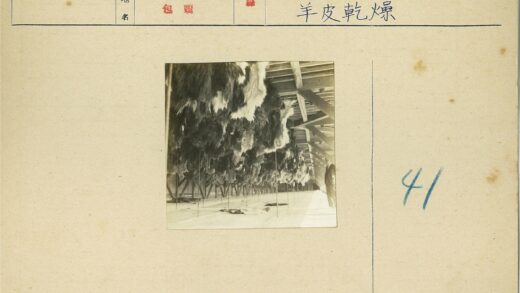 悬挂动物皮毛的木天花板.jpg