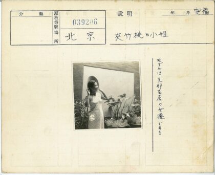 戴圆锥帽妇女与墙边盆栽.jpg