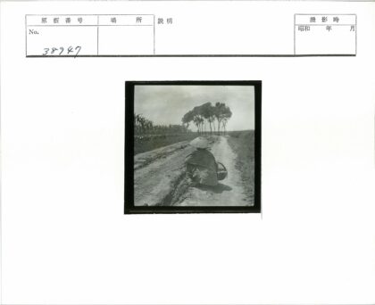 戴圆锥帽提篮人坐土路田野远景.jpg
