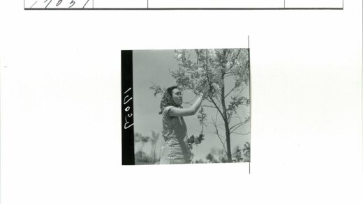 戴头巾妇女触摸树花.jpg