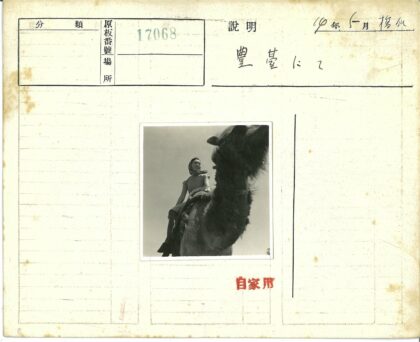 戴头巾妇女骑骆驼照.jpg