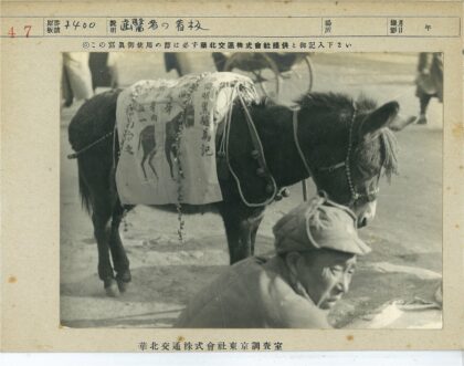 戴帽人与文字毯驴车场景.jpg